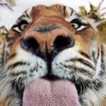 Profile picture of lars